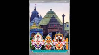 Jay Jagannath Swami 🙏🏻 Odia Jagannath bhajan// Odisha//ମିତଣୀ ମୋ ଜଗନ୍ନାଥ ଧାମ ସିଏ। YouTube short.