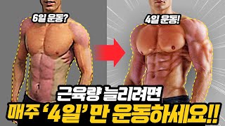 왜 멍청하게 헬스를 매일하지...??? (일반인을 위한 2분할 루틴/프로그램)