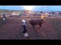 tyler pankewitz vs. bucking fantastic 2bit arrowwood ab epb 12