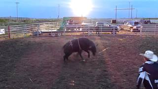 Tyler Pankewitz vs. Bucking Fantastic (2BIT) Arrowwood, AB EPB '12