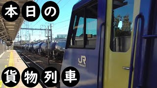 【本日の貨物列車】No.1228　2024,3,17　第8763番列車＆4074番列車　Today‘s freight train　離合！