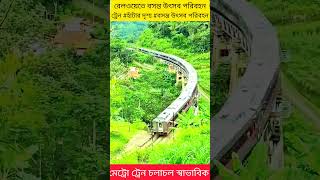 # চারিদিকে সৌন্দর্য দেখুন, আনন্দ উপভোগ করুন