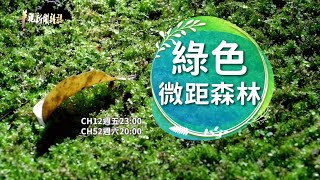 探索苔蘚之美 綠色微距森林│華視新聞雜誌預告EP2380 2023.9.8