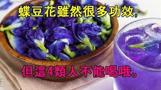 蝶豆花雖然很多功效，但這4類人不能喝哦。