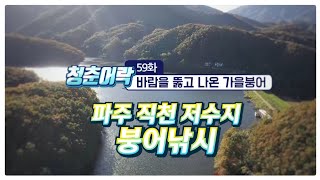 파주 직천 저수지 / 떡붕어 쌍포낚시 /FTV/ 청춘어락시즌2/