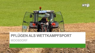 Pflügen als Wettkampfsport