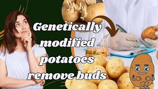 Genetically modified potato with reduced bruising and acrylamide formation. Simplot Innate Potatoes