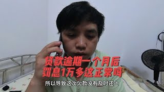 网贷逾期一个月，罚息1万多，无力偿还，被贷款公司起诉