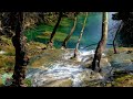 Relaxing Piano Music : Waterfall Sounds, Sleep Music, Study Music, Relaxing Music  ⭐️146