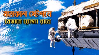 মহাকাশ স্টেশন থেকে ২৪ ঘণ্টায় ১৬ বার সূর্যোদয় ও সূর্যাস্ত দেখা যায় | RNBD