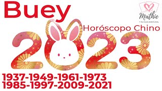 🐰 BUEY Horoscopo Chino 2023 Año del Conejo de Agua 🐰Tarot Guia Angelical