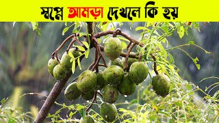 স্বপ্নে আমড়া দেখলে কি হয় | স্বপ্নে আমড়া খেতে দেখলে কি হয় | স্বপ্নে পচা আমড়া দেখলে কি হয়