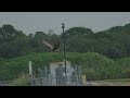 the audubon moment snail kites