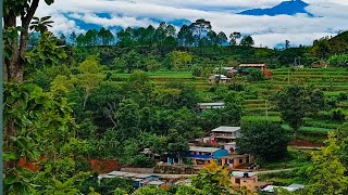 विदुर 10 माझगाउँ | नुवाकोट | गेर्खु | Nuwakot gerkhu