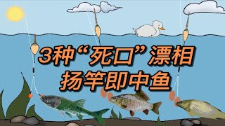 野钓时，出现3种“死口”漂相，扬竿即中鱼