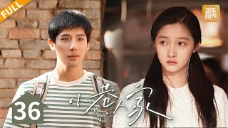 EP36 “Romance In The Alley” 【Daylight Entertainment Drama】