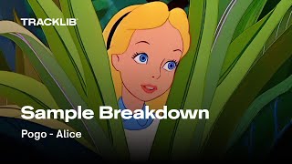 Sample Breakdown: Pogo - Alice