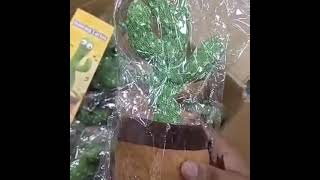 మనం ఎది చెప్పిన తిరిగి చెప్పేస్తుంది cactus#kidsvideo #kidstoys#gaming#ytshorts #short#dm9666225737