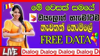 ⚡Dialog free data new 2024 | Free data dialog today | Free data new sinhala #dialog_free_data_2024