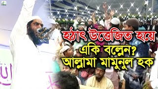 হঠাৎ উত্তেজিত হয়ে একি বল্লেন আল্লামা মামুনুল হক | Allama Mamunul Haque | Bangla Waz 2019