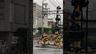 【アラウンド・ザ・ヘイワドウ滋賀県編パート2ショート動画】石山坂本線の電車が通過