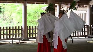 【4K動画】Nikon Z 9で撮る！美保神社・朝御饌「巫女舞・真ノ舞」MIKO-MAI MIHO Jinja Shrine