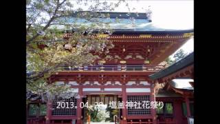 2013/04/28  塩釜神社花祭り