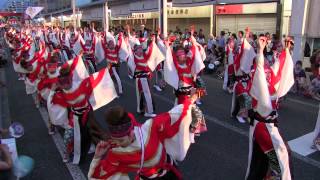 第62回よさこい祭り(2015/8/10)「旭食品」