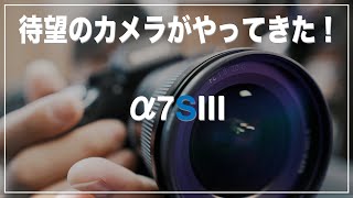 【α7SⅢ】待望のカメラがやってきた！【SONY】【夜間撮影】【イルミネーション】