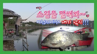 붕어낚시 어천지에서 소원들어주기 내기낚시 결과는???  / Korean carp fishing / 韓国フナ釣り