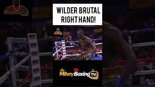 DEONTAY WILDER'S KNOCKOUT RIGHT HAND! #boxing #wilder #fight