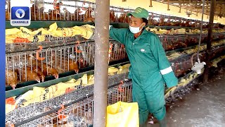 Ebonyi Govt Revives Poultry Farm In Abakaliki