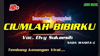 KARAOKE DANGDUT || CIUMLAH BIBIRKU || ELVY SUKAESIH || NADA WANITA @Jonsmusic