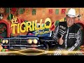 el tigrillo palma de oro 🔥Éxitos de oro para pistear 30 Éxitos corridos pesados mix 2025 ✅201