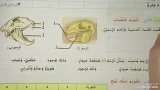 اقوم تعلماتي/الواضح في النشاط العلمي الثالث ابتدائي صفحة 48-49