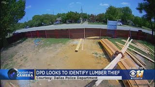 DPD Trying To Track Down Lumber Their Caught On Tape