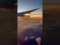 夕焼け空を飛ぶ　 jal 夕焼け空 飛行機好き shorts short