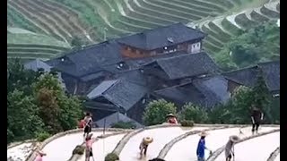 Longji terraced rice fields in Guangxi | CCTV English