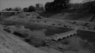 利根運河(千葉県流山市西深井)　Tone canal (Nishifukai, Nagareyama-shi, Chiba,Japan)