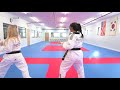 taekwondo form 4 basics for beginners