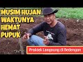 Musim Hujan Tak Perlu Pupuk !!!