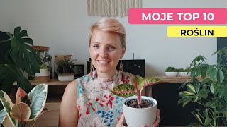 Moje top 10 roślin | Ulubione kwiaty domowe | Polecane rośliny domowe || Pipilotka