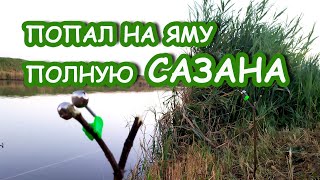 БЕШЕНЫЙ КЛЕВ САЗАНА НА ЗАКИДУШКИ. НОЧНАЯ РЫБАЛКА. ЛОВЛЯ САЗАНА НА МАКУХУ (макушатник). Carp Fishing