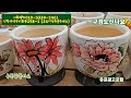 새로들여온화분 육이분 베트남산 분갈이흙드려요. 이화랜드010 3339 2461