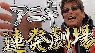 哀川翔「バーナーであぶる？」東京湾のシロギス復活【横浜山下橋・広島屋】