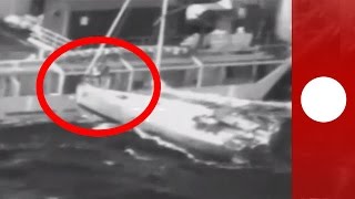 Man \u0026 cat leap from yacht to rescue boat in treacherous rough seas