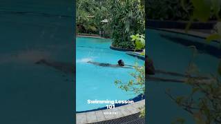 Swimming lesson 101