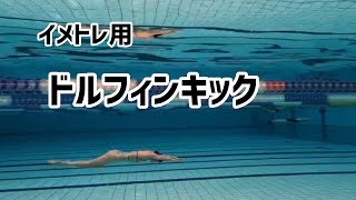 【イメージトレーニング用】ドルフィンキックだけの動画　#swimming