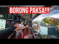 BORONG PAKSA!!! KOLEKSI IKAN PREDATOR LANGKA SULTAN SURABAYA!!!