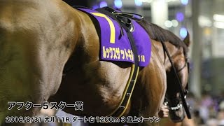 アフター５スター賞　ルックスザットキル号　早田功駿騎手　大井競馬　米田英世厩舎